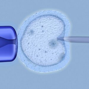 El análisis metabolómico del líquido folicular podría mejorar los resultados de la FIV