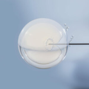 El blastocisto: te contamos todo lo que tienes que saber