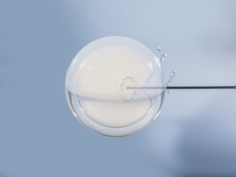 El blastocisto: te contamos todo lo que tienes que saber