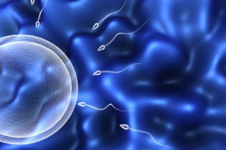 El café reduce el éxito de la fecundación in vitro