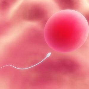 El problema está en los genes