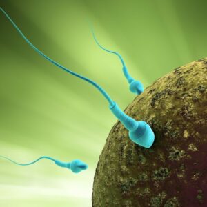 El tabaco afecta la fertilidad de las personas