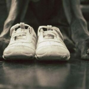 Embarazadas con perros tienen hijos con mejor salud, según estudio