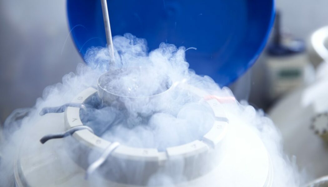 Embriones congelados son efectivos en la fecundación asistida, según estudio