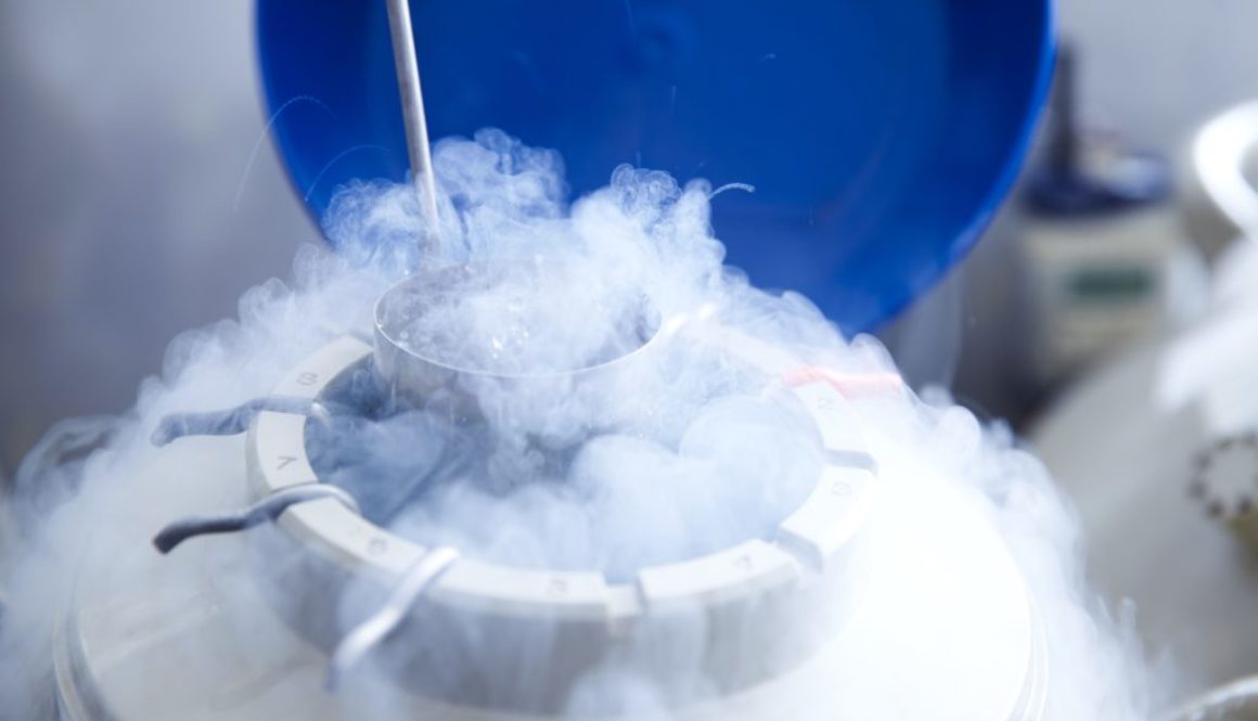 Embriones congelados son efectivos en la fecundación asistida