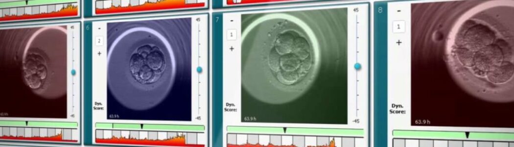 Embryoscope: La película del inicio de la vida