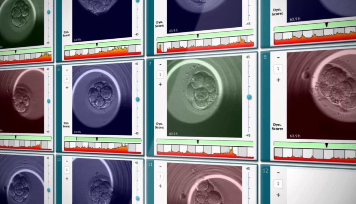Embryoscope: La película del inicio de la vida