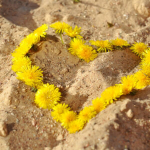 Emociones y fertilidad, ¿que relación hay?