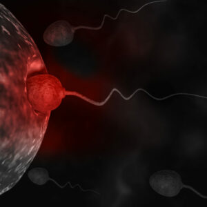 En el norte de España un 77% de los varones acudirían al especialista si no logran el embarazo