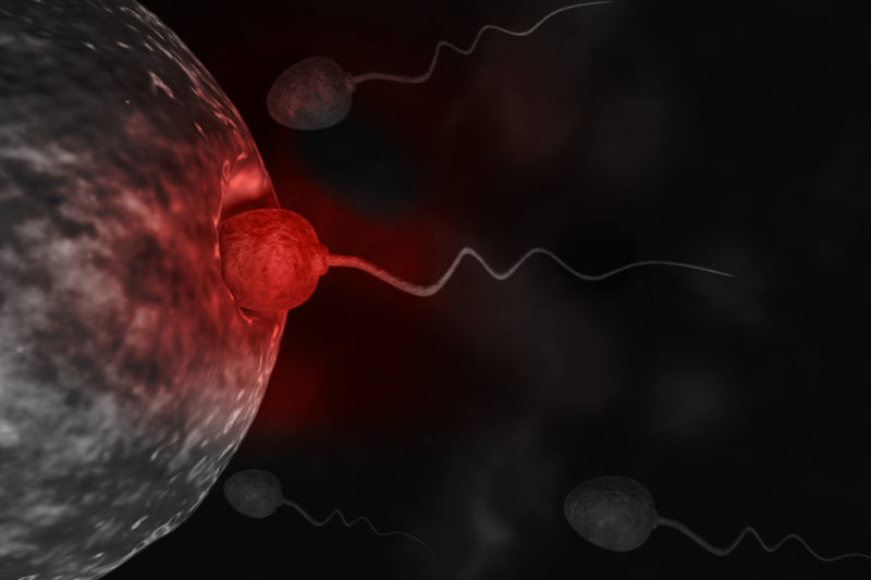 En el norte de España un 77% de los varones acudirían al especialista si no logran el embarazo