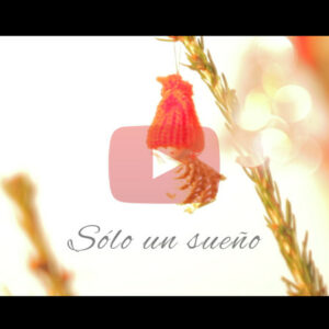 En estas fechas hemos tenido un sueño que queremos compartir. Felices sueños.