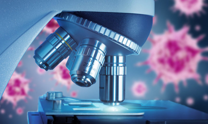 Es importante preservar la fertilidad de la mujer mediante la vitrificación de óvulos antes de los 35 años