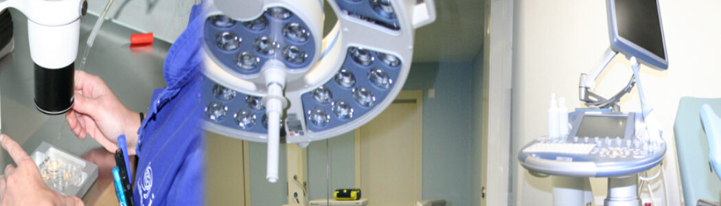 Esfuerzos para lograr un mayor acceso a la últimas Técnicas de Reproducción Asistida en IMFER