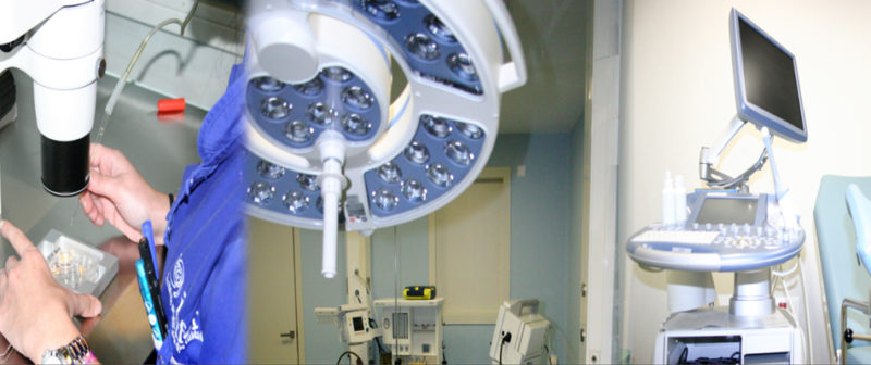 Esfuerzos para lograr un mayor acceso a la últimas Técnicas de Reproducción Asistida en IMFER