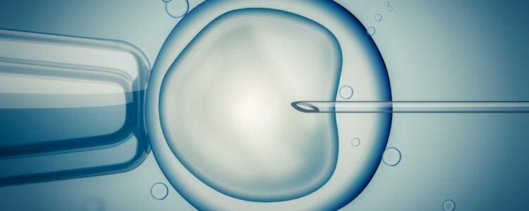 Expertos advierten de la necesidad de incorporar mayor seguridad en los tratamientos de reproducción asistida