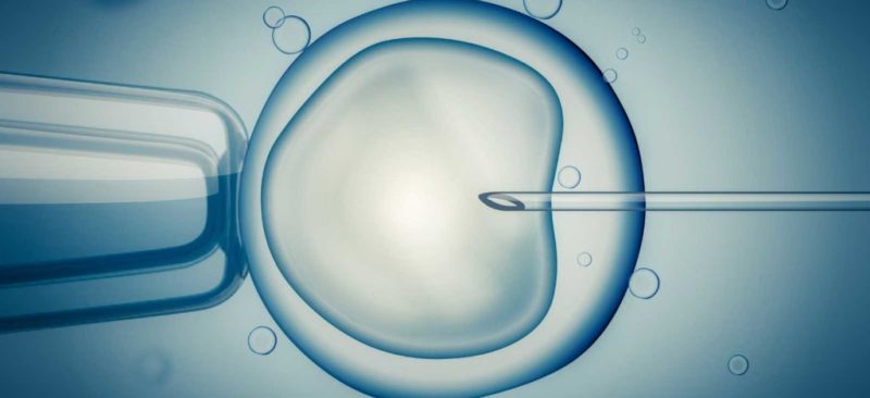 Expertos advierten de la necesidad de incorporar mayor seguridad en los tratamientos de reproducción asistida
