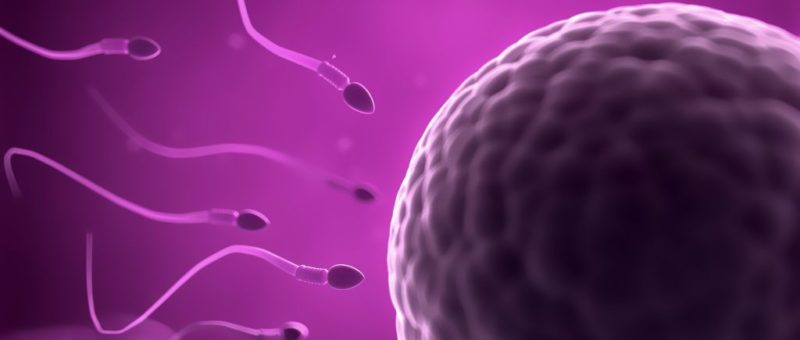 Expertos internacionales debaten sobre los cambios en políticas reproductivas