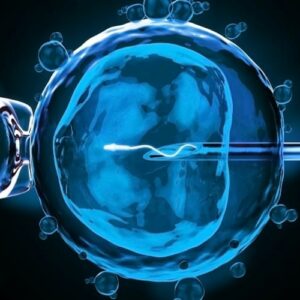 Fecundación in vitro: ¿cuántos intentos de FIV debo hacer para conseguir un embarazo?