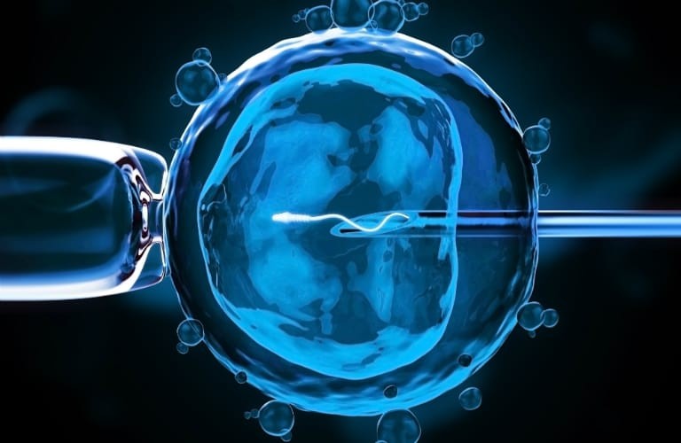 Fecundación in vitro: ¿cuántos intentos de FIV debo hacer para conseguir un embarazo?