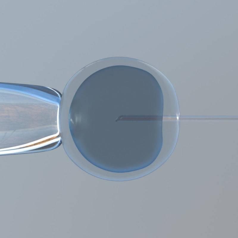 Fertilidad congelada