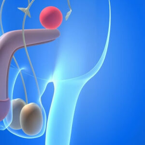 Fertilidad del varón en pacientes con cáncer testicular