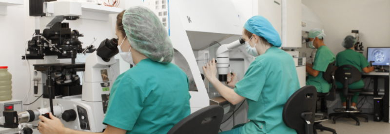 GINEFIV aumenta la seguridad de los pacientes en los procesos de Reproducción Asistida