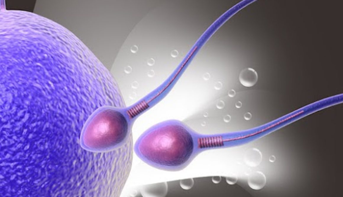 Halla "Apagado" molecular que causa infertilidad y aborto