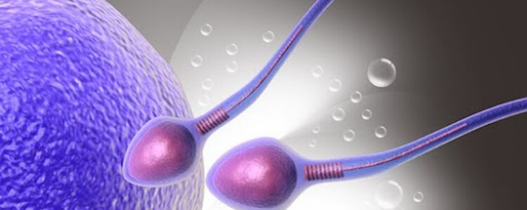 Halla “Apagado” molecular que causa infertilidad y aborto