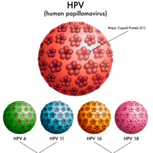 Hallan un virus en mujeres con infertilidad inexplicada