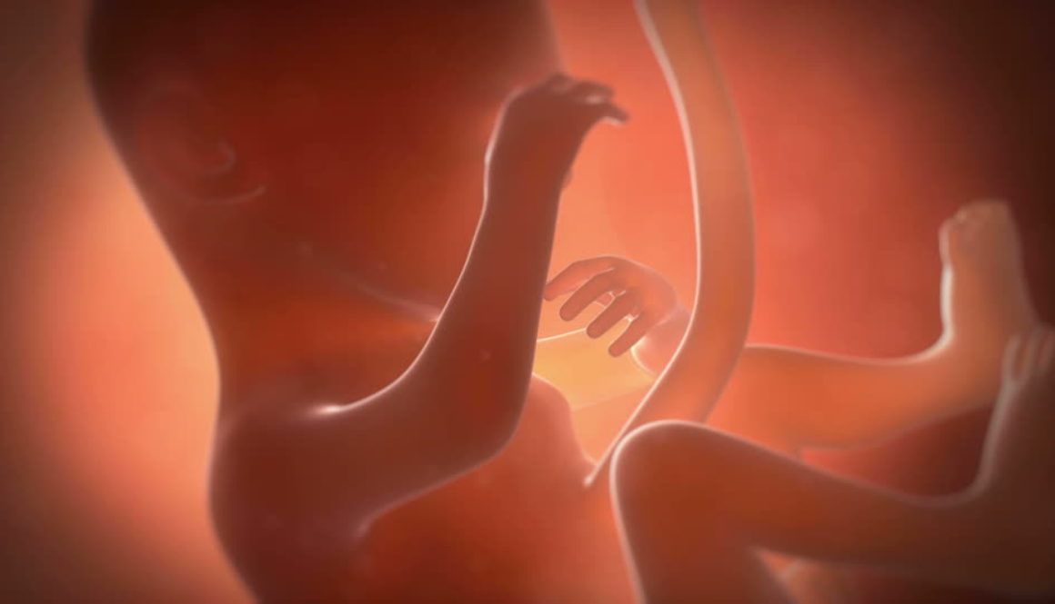 Hemos creado un útero para gestar bebés fuera de la madre