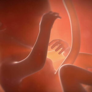 Hemos creado un útero para gestar bebés fuera de la madre