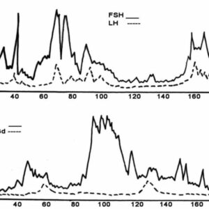 Hormona estimulante del folículo (o folículo-estimulante, FSH)