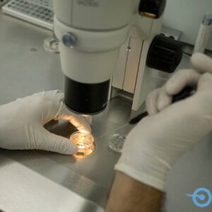 IREMA logra para España el prestigioso premio «IVF CLINIC AWARD»