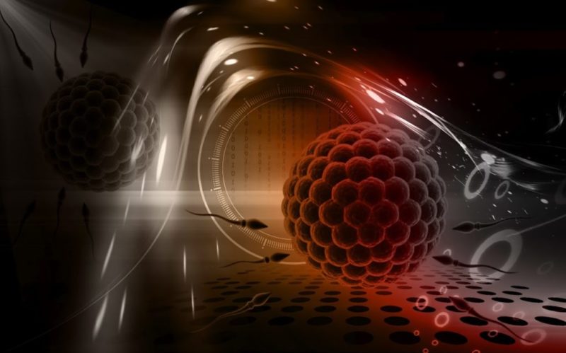 Identidad del donante: punto discutido en la ley uruguaya de reproducción asistida