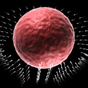 Infértil, aunque con buen semen