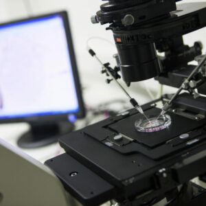 Instituto Bernabeu presenta tres investigaciones científicas al congreso de infertilidad FFER de Francia