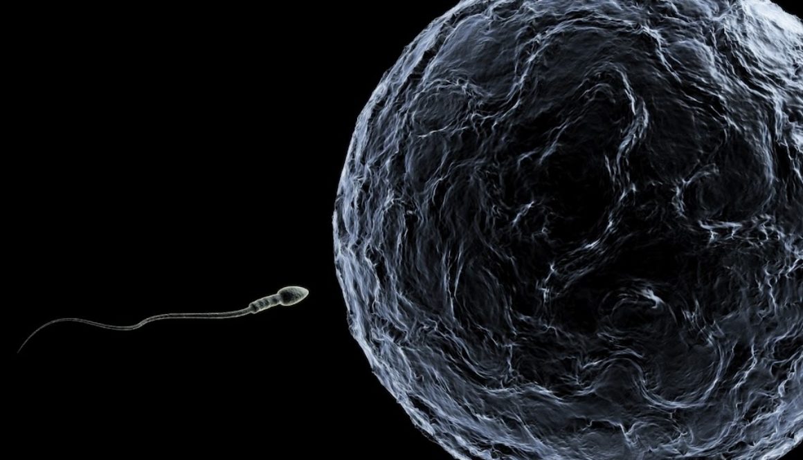 Interior no hubiera aprobado pruebas de fertilidad de etarra