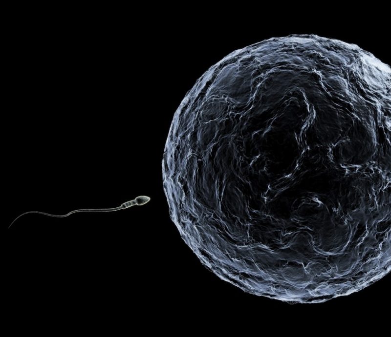 Interior no hubiera aprobado pruebas de fertilidad de etarra