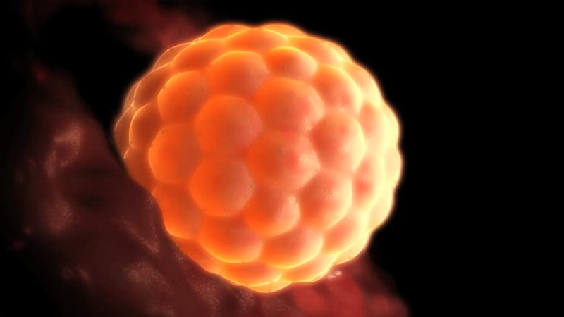 Investigación y técnicas avanzadas