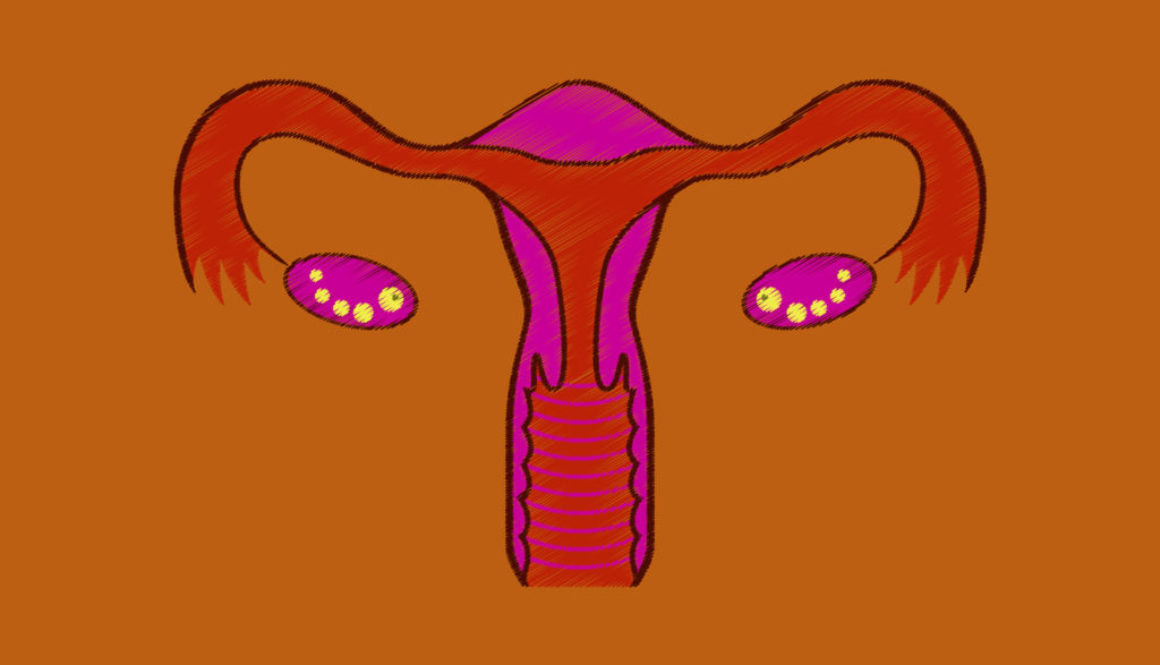Investigadores crean un sistema reproductivo femenino en miniatura