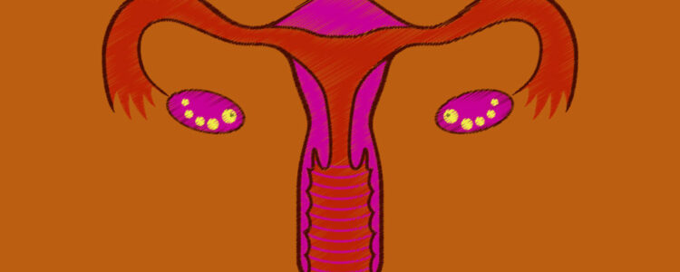 Investigadores crean un sistema reproductivo femenino en miniatura