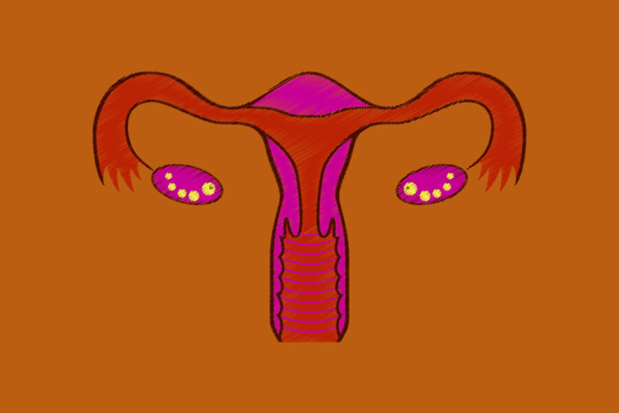 Investigadores crean un sistema reproductivo femenino en miniatura