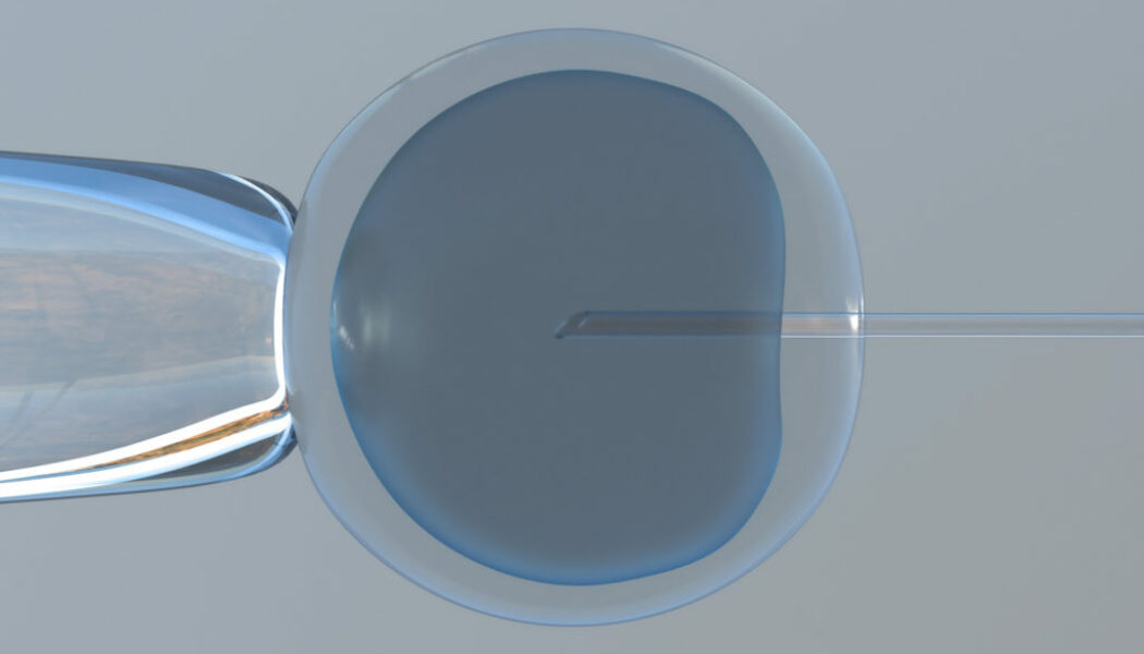 Investigadores de Reino Unido hallan un mecanismo que puede ayudar al éxito del tratamiento “in vitro”