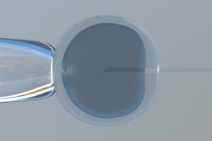 Investigadores de Reino Unido hallan un mecanismo que puede ayudar al éxito del tratamiento «in vitro»