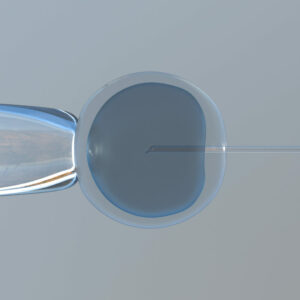 Investigadores de Reino Unido hallan un mecanismo que puede ayudar al éxito del tratamiento "in vitro" Investigadores de Reino Unido hallan un mecanismo que puede ayudar al éxito del tratamiento “in vitro”