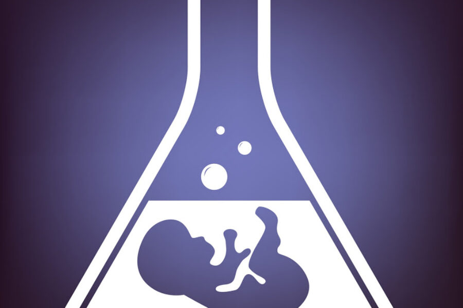 Investigar con embriones