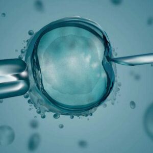 Jornada en Alcoy sobre avances en medicina reproductiva