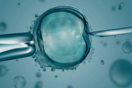 Jornada en Alcoy sobre avances en medicina reproductiva