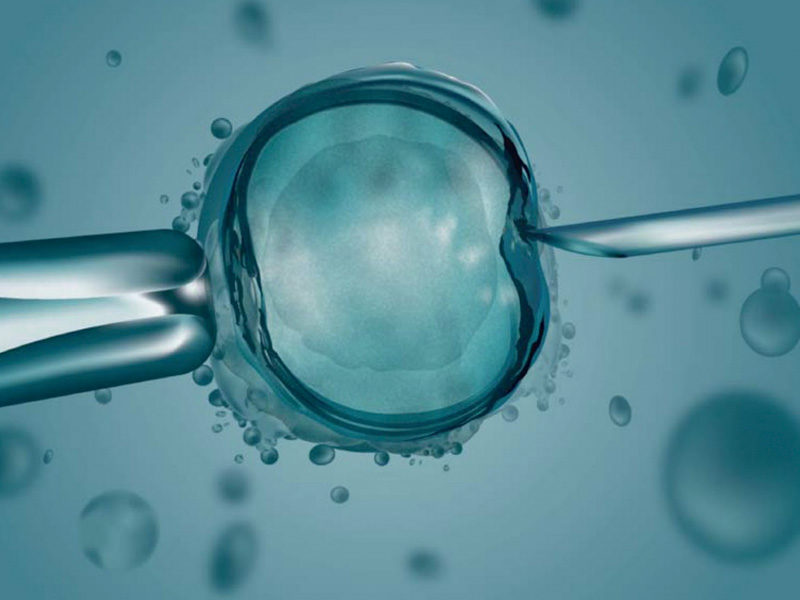 Jornada en Alcoy sobre avances en medicina reproductiva