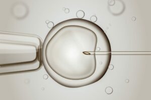 La Reproducción Humana